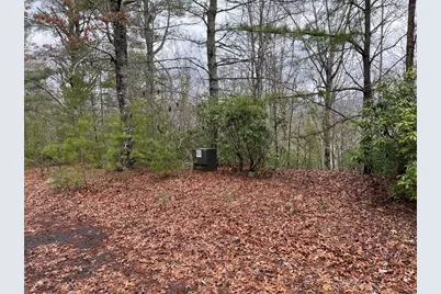 19 Lots Crockett, Hayesville, NC 28904 - Photo 39
