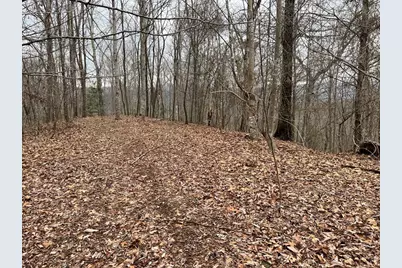 19 Lots Crockett, Hayesville, NC 28904 - Photo 33