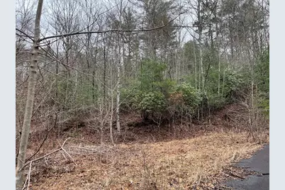 19 Lots Crockett, Hayesville, NC 28904 - Photo 47