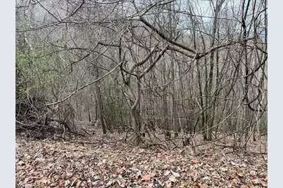 19 Lots Crockett, Hayesville, NC 28904 - Photo 13