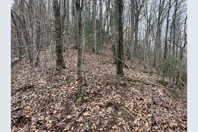 19 Lots Crockett, Hayesville, NC 28904 - Photo 27