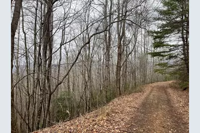 19 Lots Crockett, Hayesville, NC 28904 - Photo 11