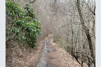 19 Lots Crockett, Hayesville, NC 28904 - Photo 7
