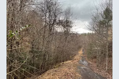 19 Lots Crockett, Hayesville, NC 28904 - Photo 69