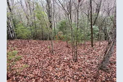 19 Lots Crockett, Hayesville, NC 28904 - Photo 43