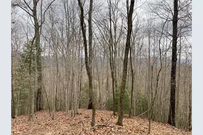 19 Lots Crockett, Hayesville, NC 28904 - Photo 35