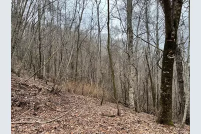 19 Lots Crockett, Hayesville, NC 28904 - Photo 19