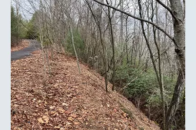 19 Lots Crockett, Hayesville, NC 28904 - Photo 57