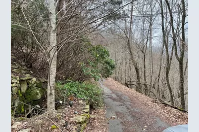 19 Lots Crockett, Hayesville, NC 28904 - Photo 3