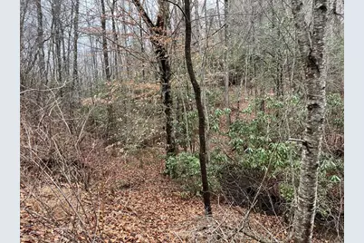 19 Lots Crockett, Hayesville, NC 28904 - Photo 51