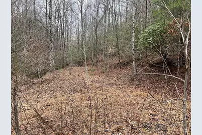 19 Lots Crockett, Hayesville, NC 28904 - Photo 55
