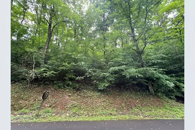 0 Ash Branch Circle, Hayesville, NC 28904 - Photo 5
