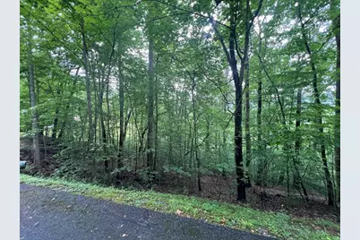 0 Ash Branch Circle, Hayesville, NC 28904 - Photo 3