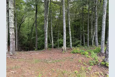 Lot 69 Thundering Hill, Murphy, NC 28906 - Photo 5