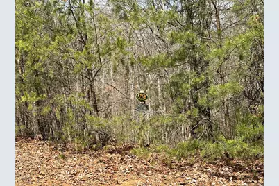 Lt29 Wilderness Creek Way, Murphy, NC 28906 - Photo 5