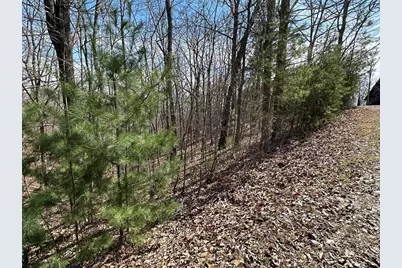 Lt29 Wilderness Creek Way, Murphy, NC 28906 - Photo 3