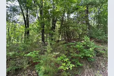 Lot 31 Peak Trail, Murphy, NC 28906 - Photo 1