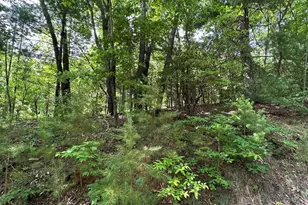 Lot 31 Peak Trail, Murphy, NC 28906 - Photo 1