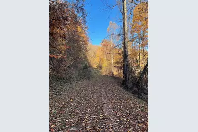 Lot 51J Indian Trail, Hayesville, NC 28904 - Photo 3