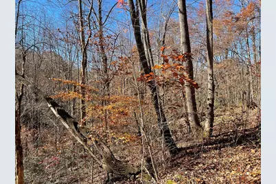 Tbd Ashe Knob Drive, Hayesville, NC 28904 - Photo 7