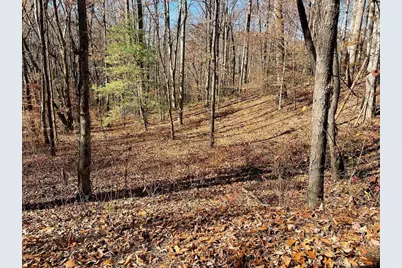 Tbd Ashe Knob Drive, Hayesville, NC 28904 - Photo 1