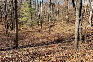 Tbd Ashe Knob Dr, Hayesville, NC 28904 - Photo 1