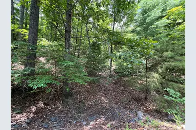 Lot 32 Mission Ridge, Hayesville, NC 28904 - Photo 7