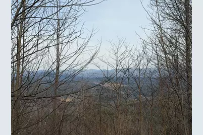 130 Trophy Buck Point, Murphy, NC 28906 - Photo 3