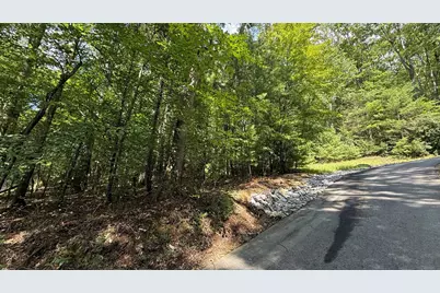 Lot 45 Granite Drive, Hayesville, NC 28904 - Photo 9