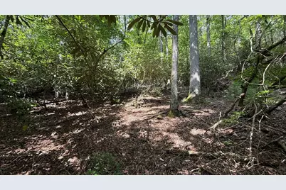 Lot 45 Granite Drive, Hayesville, NC 28904 - Photo 15