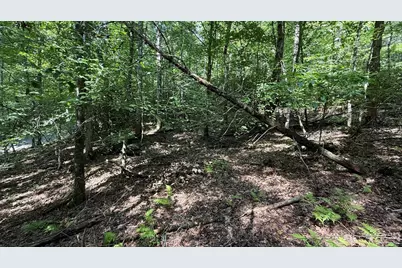 Lot 45 Granite Drive, Hayesville, NC 28904 - Photo 11