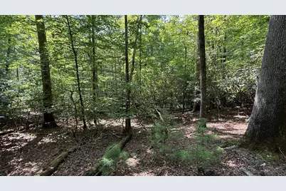 Lot 45 Granite Drive, Hayesville, NC 28904 - Photo 23