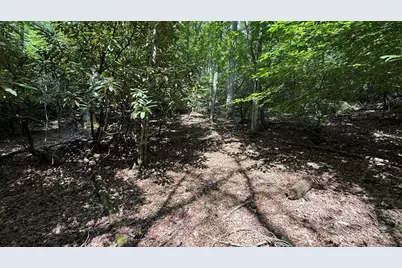 Lot 45 Granite Drive, Hayesville, NC 28904 - Photo 25