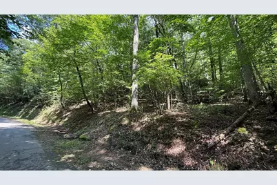 Lot 45 Granite Drive, Hayesville, NC 28904 - Photo 7