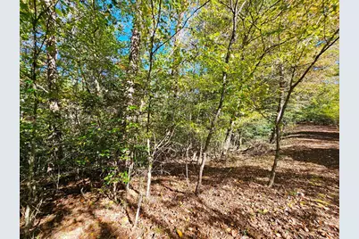 Lot 12 Kaitlan Lane, Murphy, NC 28906 - Photo 23