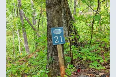 Lot 21 Skyview, Hayesville, NC 28904 - Photo 1