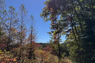 000 Hwy 294, Murphy, NC 28906 - Photo 1