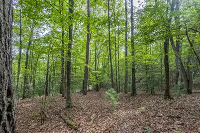 2 Ac Horvath Road, Murphy, NC 28906 - Photo 3