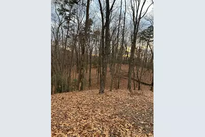 0 Tracks Hollow, Murphy, NC 28906 - Photo 3