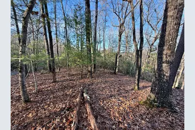 Lot 42 Panico Trail, Murphy, NC 28906 - Photo 1