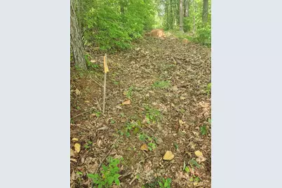 00 Soaring Eagle, Murphy, NC 28906 - Photo 11