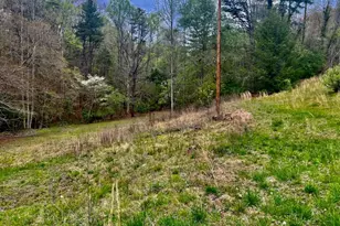 16378 W U S 64 Hwy, Murphy, NC 28906 - Photo 15