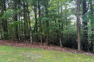 Lot 40 Double Knobs, Hayesville, NC 28904 - Photo 1