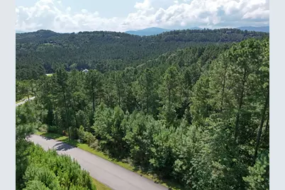 Lot 121 Stable Rise, Blairsville, GA 30512 - Photo 41