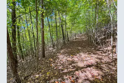 0 Wolf Print, Murphy, NC 28906 - Photo 7
