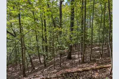 0 Wolf Print, Murphy, NC 28906 - Photo 15
