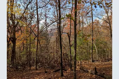 902 Mountain Top Drive, Murphy, NC 28906 - Photo 7