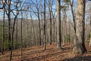 902 Mountain Top Dr, Murphy, NC 28906 - Photo 1