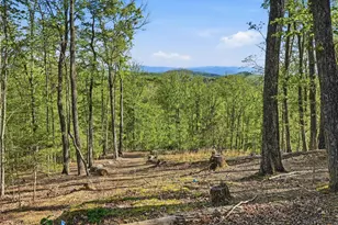 194 Quiet Woods Trail, Murphy, NC 28906 - Photo 45