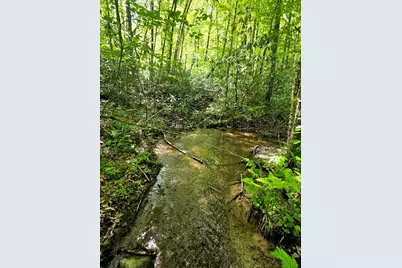 795 Porterfield Gap Road, Robbinsville, NC 28771 - Photo 55